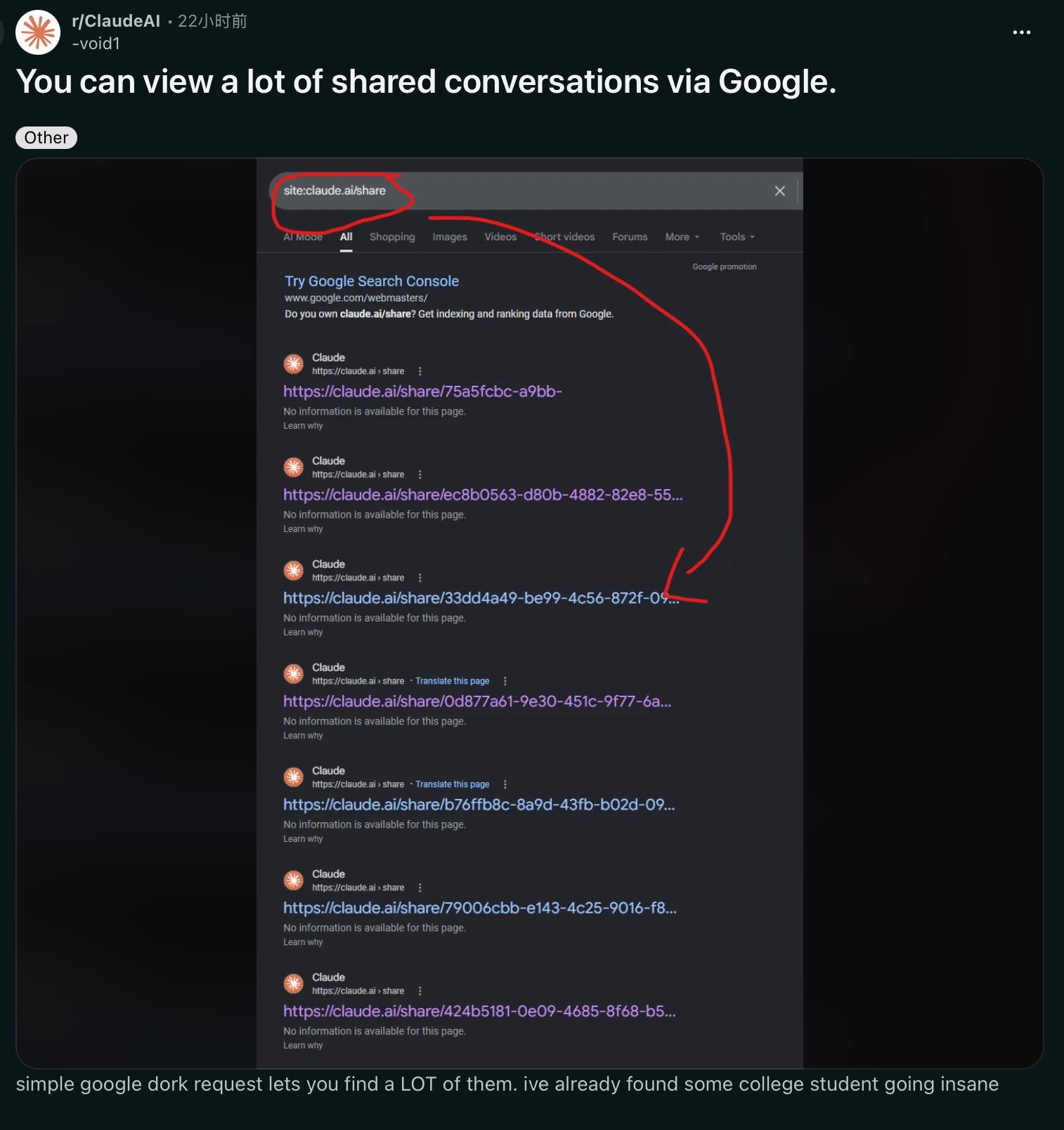 共享的Claude对话链接被Google 收录
