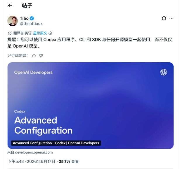 Codex支持直接接入任何开源大模型