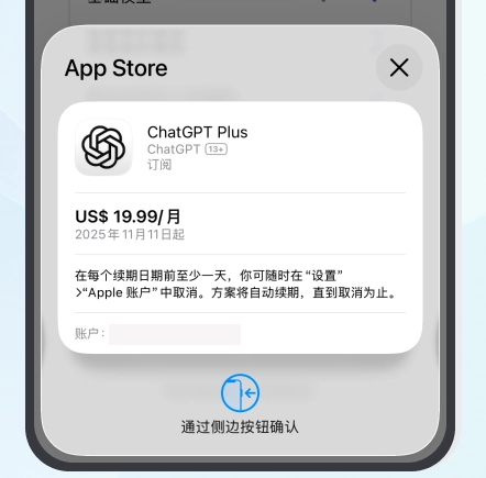 App Store 最终订阅确认页面
